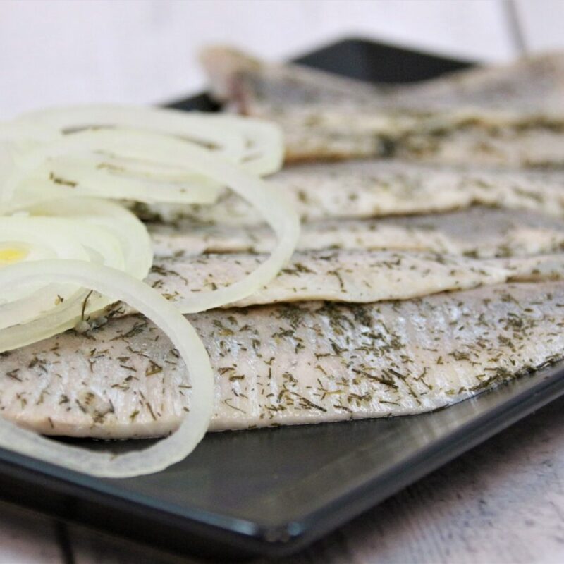 Hollandse Nieuwe '23