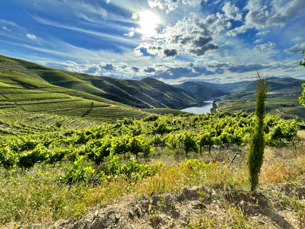 Quinta do Ventozelo
