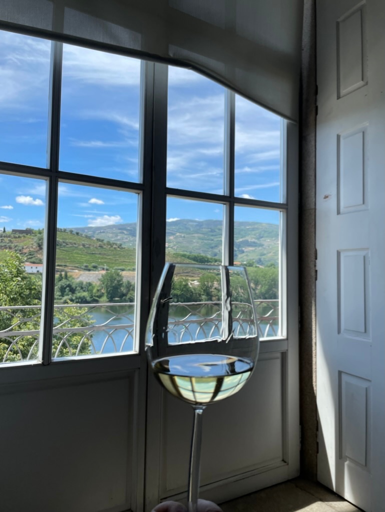 Wine Tasting Douro